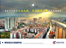 寧陽(yáng)經(jīng)濟(jì)開發(fā)區(qū) 項(xiàng)目競(jìng)標(biāo)PPT定制
